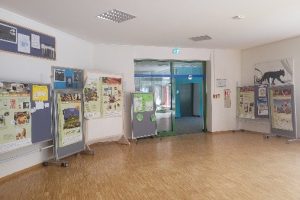 Umweltausstellung zur gesunden Ernährung
